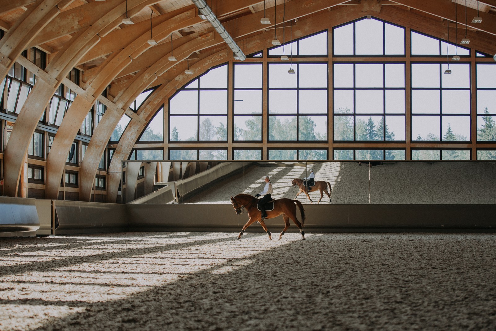 Манеж Emerald Stables